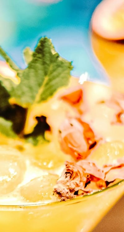 Harvesting herbs at their peak for maximum flavor.