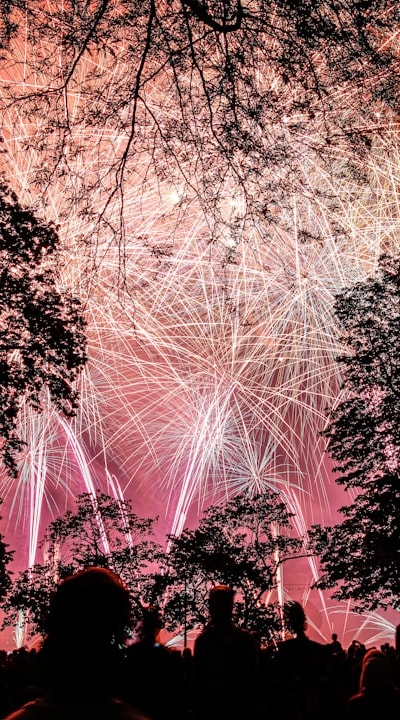 Managing environmental conditions for healthy seedlings