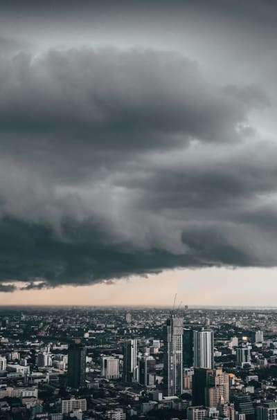 Garden, Biennial flowers