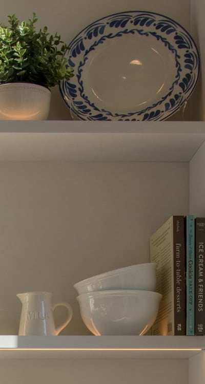 Healthy kale seedlings are key to a successful organic garden.