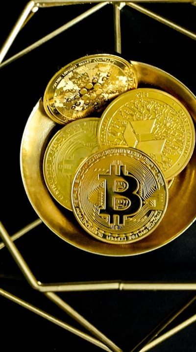 Seeds being scarified to enhance germination rates.