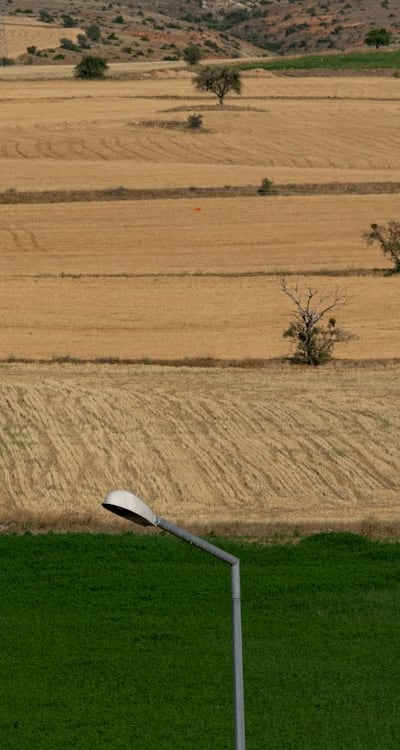 Beneficial insects and companion planting methods to control pests.