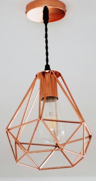 Bolting in leeks: causes and prevention methods