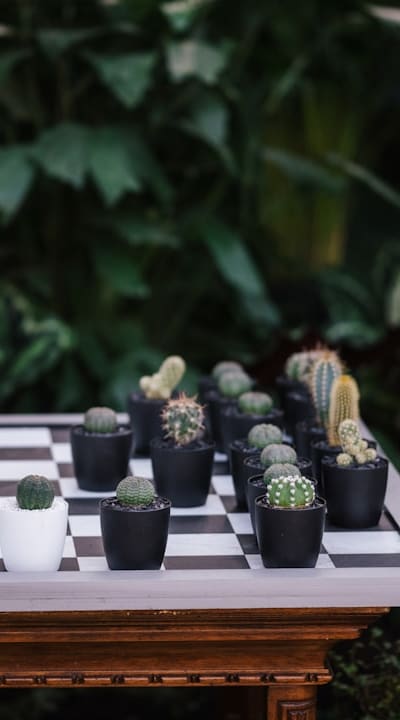 Preventing cross-pollination in lettuce seed saving