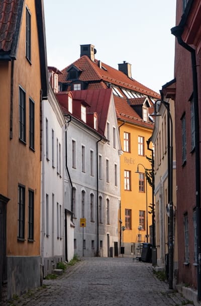 Growth process of healthy lettuce seedlings.