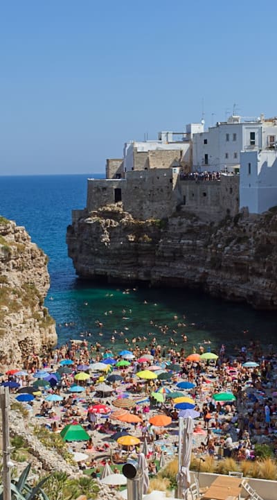 Protecting lettuce seedlings with companion plants and organic methods.