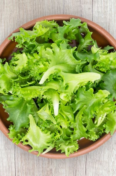 Choosing the perfect lettuce seeds for your garden