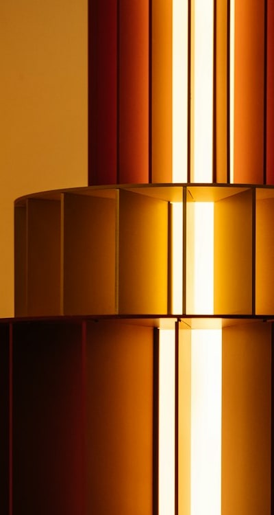 Herb seedlings needing proper lighting and temperature conditions