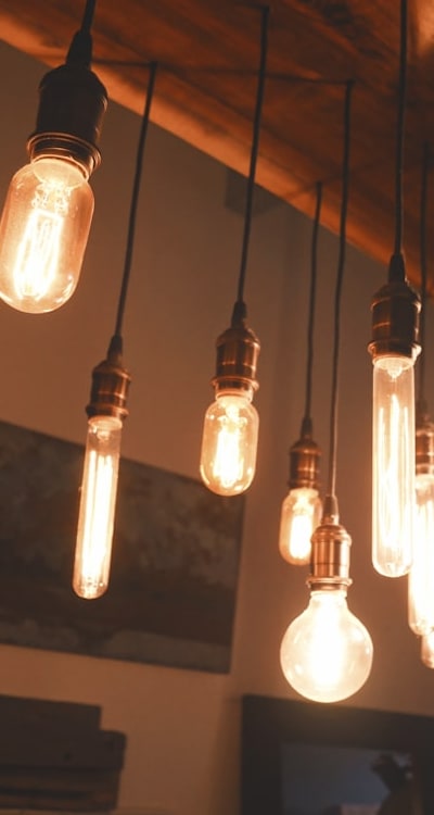 Growing lilies from bulbs: tips for success.