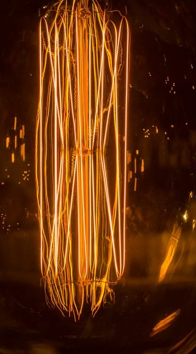 Vibrant and fragrant lilies adding beauty to a garden.