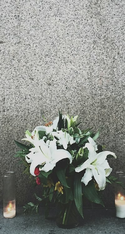 Harvesting lily bulbs, yellow foliage and healthy blooms.