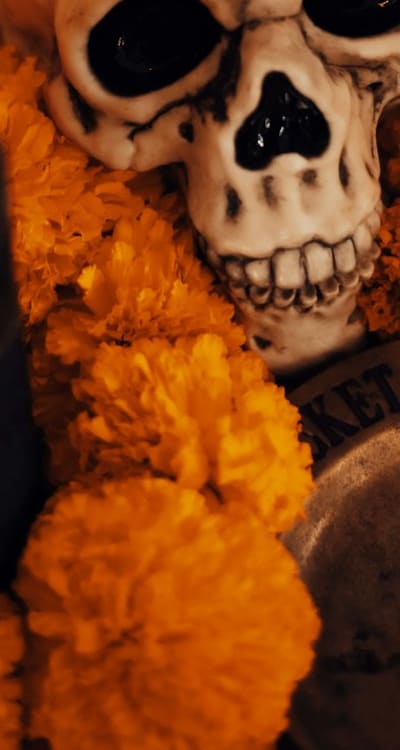 Protecting Wildflower Seedlings with Companion Plants