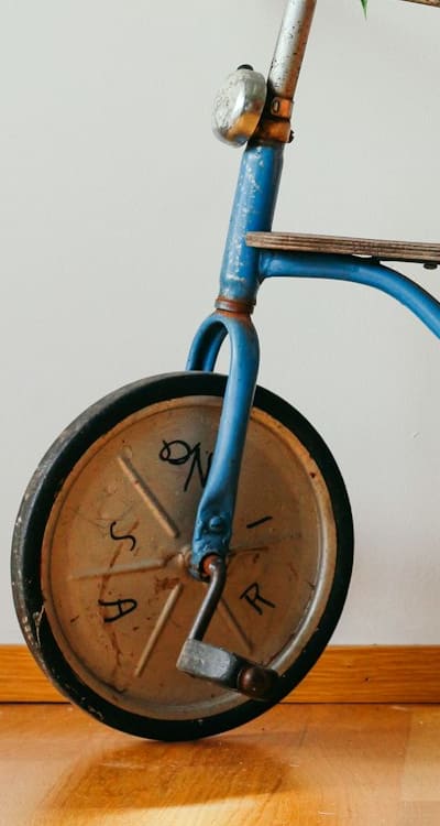 Marigolds: Natural pest repellents and beneficial insect attractors