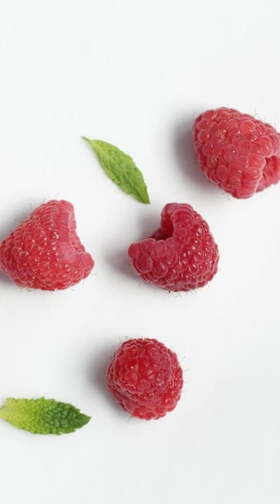 Avoiding Mold and Fungal Growth in Fruit Seed Stratification