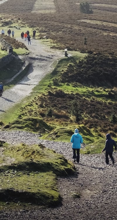 Preventing mold and fungus for healthy squash seedlings.
