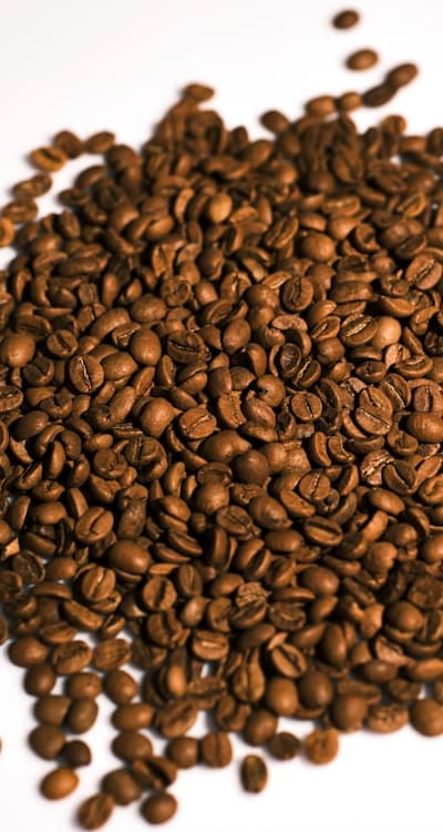 Monocot seed germination relies on specific temperature ranges.