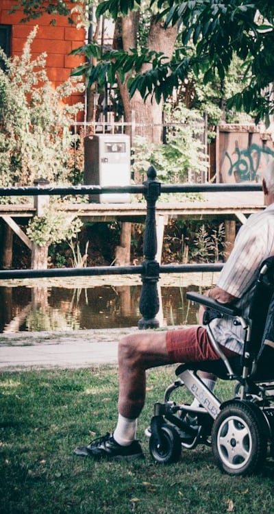 Freesias surrounded by organic mulch for moisture retention