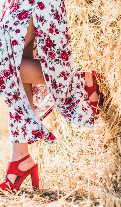 Alt text: Biennial flower bed with organic mulch