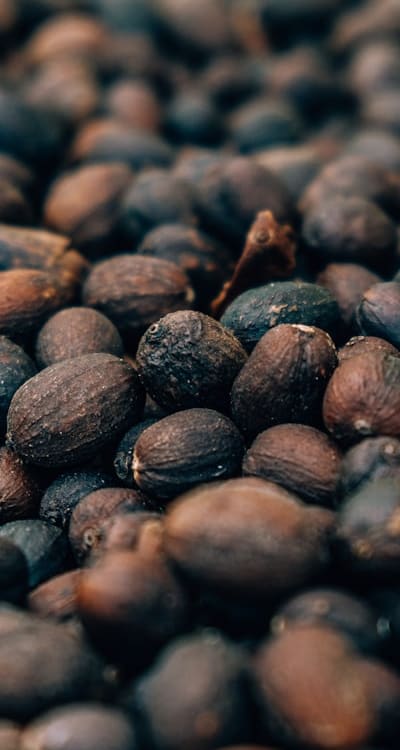 Tips for overcoming challenges when growing nasturtiums.