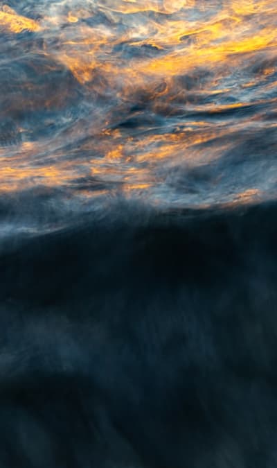 Observing natural selection in wildflower seedlings.