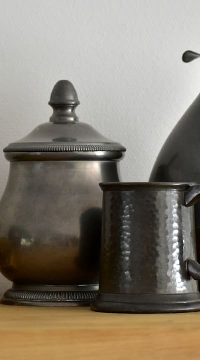 Alt text: Seedlings in the process of hardening-off.