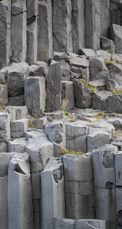 Plant/Flower/Vegetable: Compost, Manure, Bone meal, Marigolds, Lavender