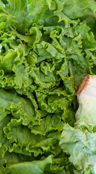 Fertilize your cottage garden flowers with a balanced fertilizer