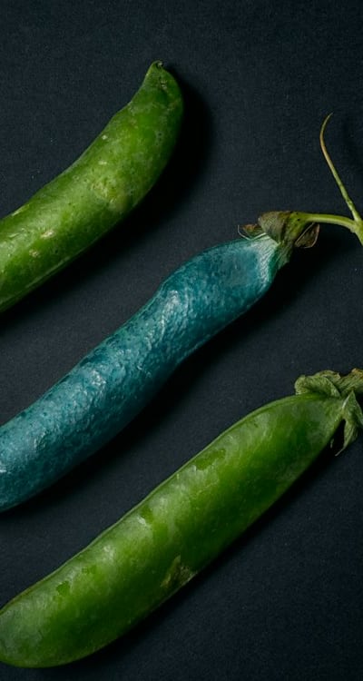 Yellowing leaves in wildflower seedlings could indicate nutrient deficiency or overwatering. Fertilize with organic fertilizer and avoid excessive watering.