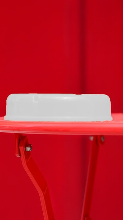 Plant/Fruit/Flower/Vegetable: Annual vine varieties