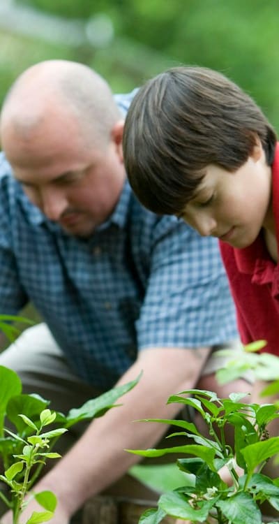 Alt text: Creating organic fertilizer through composting process