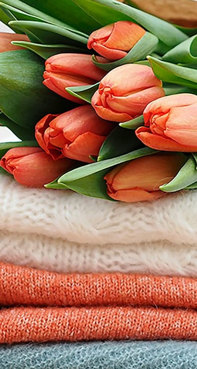 Choosing well-balanced organic fertilizer for bell peppers.