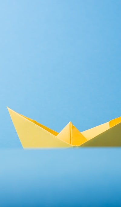 Stratify wildflower seeds for successful germination and growth.