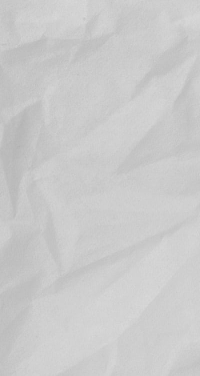 Drying Swiss chard seeds on a paper towel