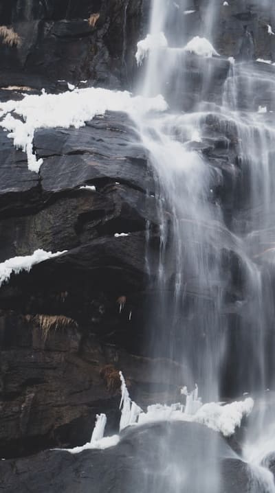 Division and propagation of perennial flowers in fall