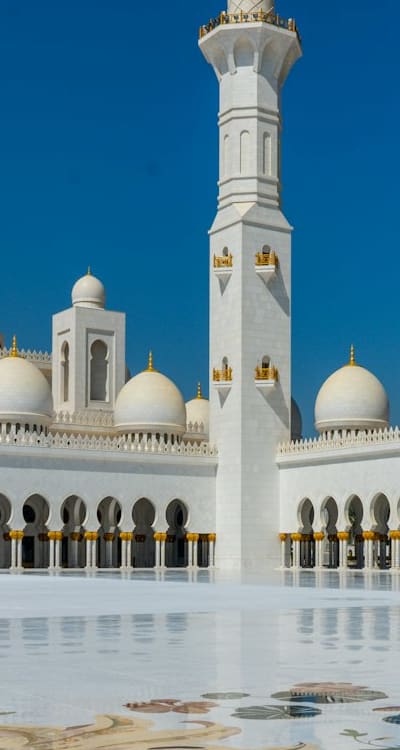 Preventing diseases and pests in perennial flowers.