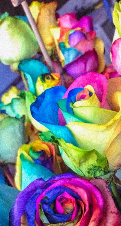 Alt text: Perennial flower seeds require appropriate temperature for optimal germination.