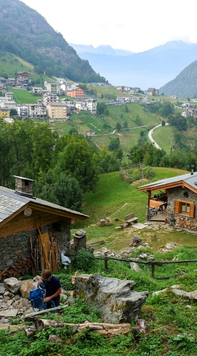 Researching ideal growing conditions for perennial flowers.