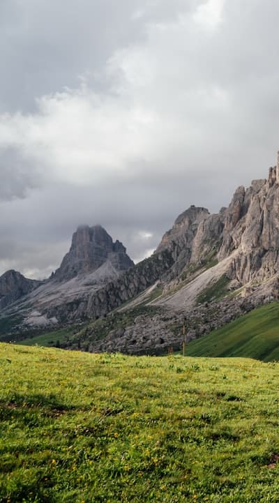 Vibrant perennial flowers add color and beauty.
