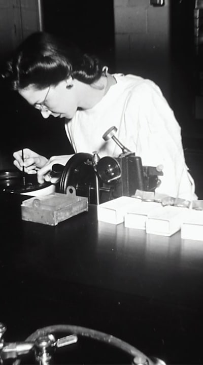 Herb seedling with aphids, caterpillars, or fungal infections