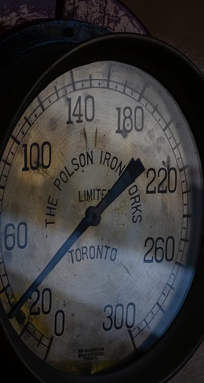 Proactively address pests and diseases to ensure healthy radishes