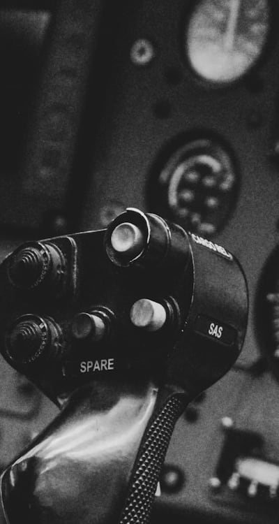 Organic pest control remedies for herb seedlings.