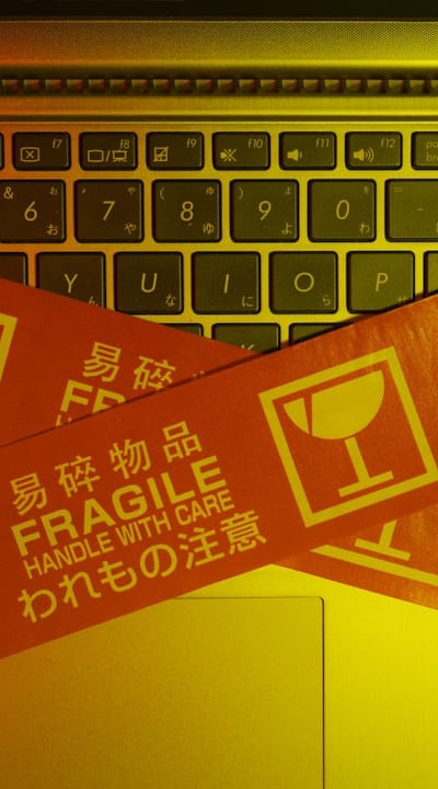 Protect your cut flower seedlings from pests and disease