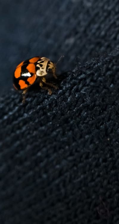 Environmental considerations, Extreme climates