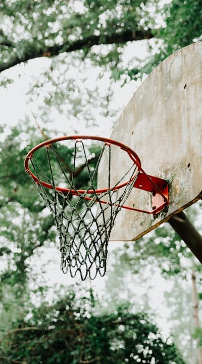 Aphids, Bean beetles, Spider mites, Pole beans