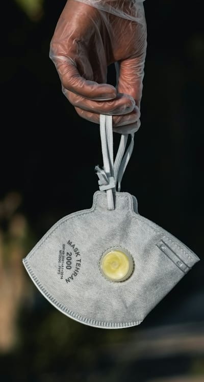 Garden pests and diseases can harm radishes.