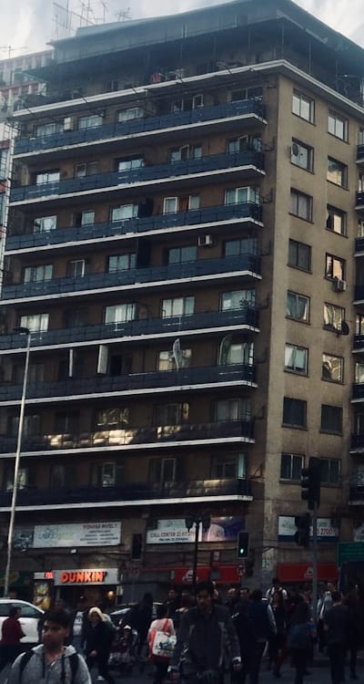 Preventive measures and natural remedies for healthy flowers.