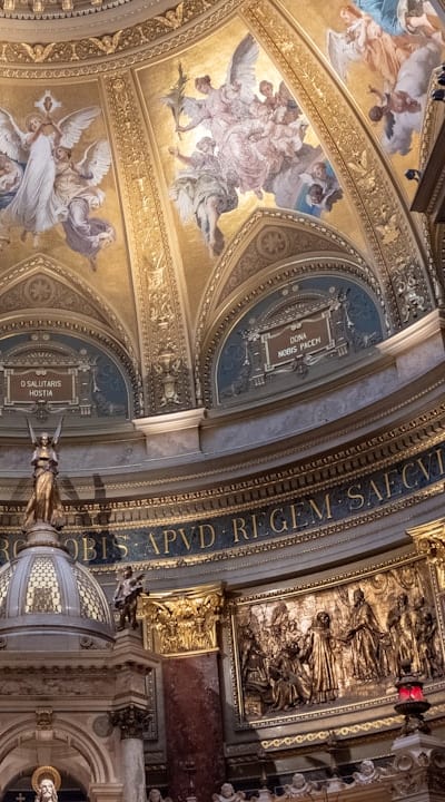 Yellowing leaves, distorted growth, aphids, spider mites, caterpillars