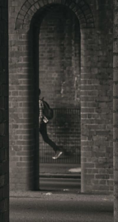 Alt text: Protecting germinating seeds from pests and diseases.