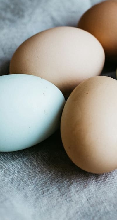 Properly applying fertilizer for optimal wildflower growth.