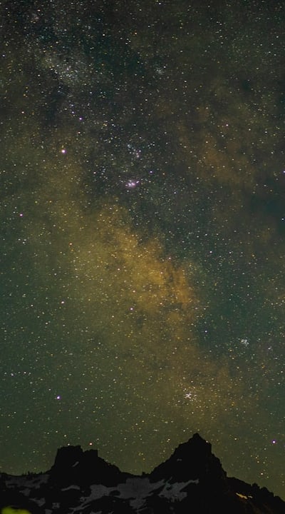 Alt text: Ripe green bean seeds ready for harvesting and storage.
